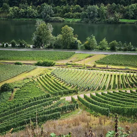 Ferienhaus Mosel Chalet 